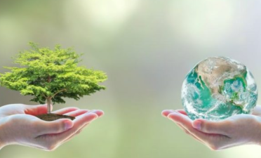 How Can We Protect the World’s Ecosystems?
